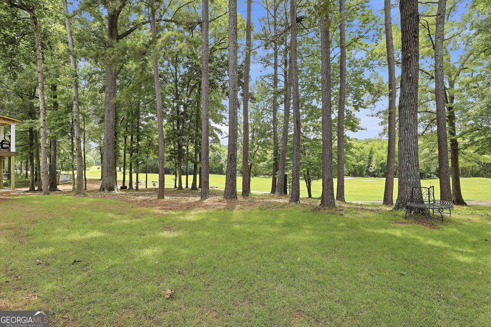 62 Greenview Drive Newnan - Photo 46