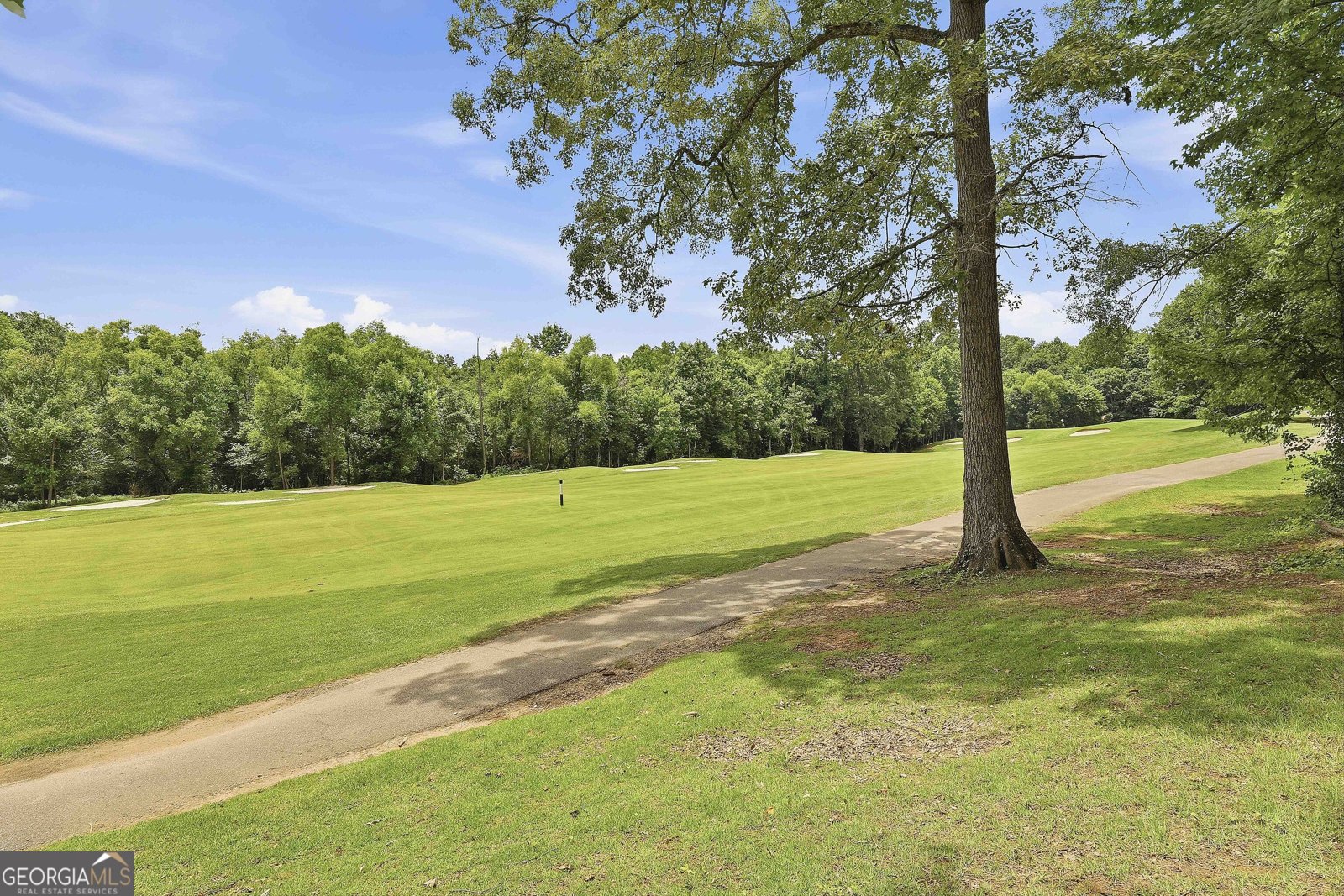 62 Greenview Drive Newnan - Photo 47