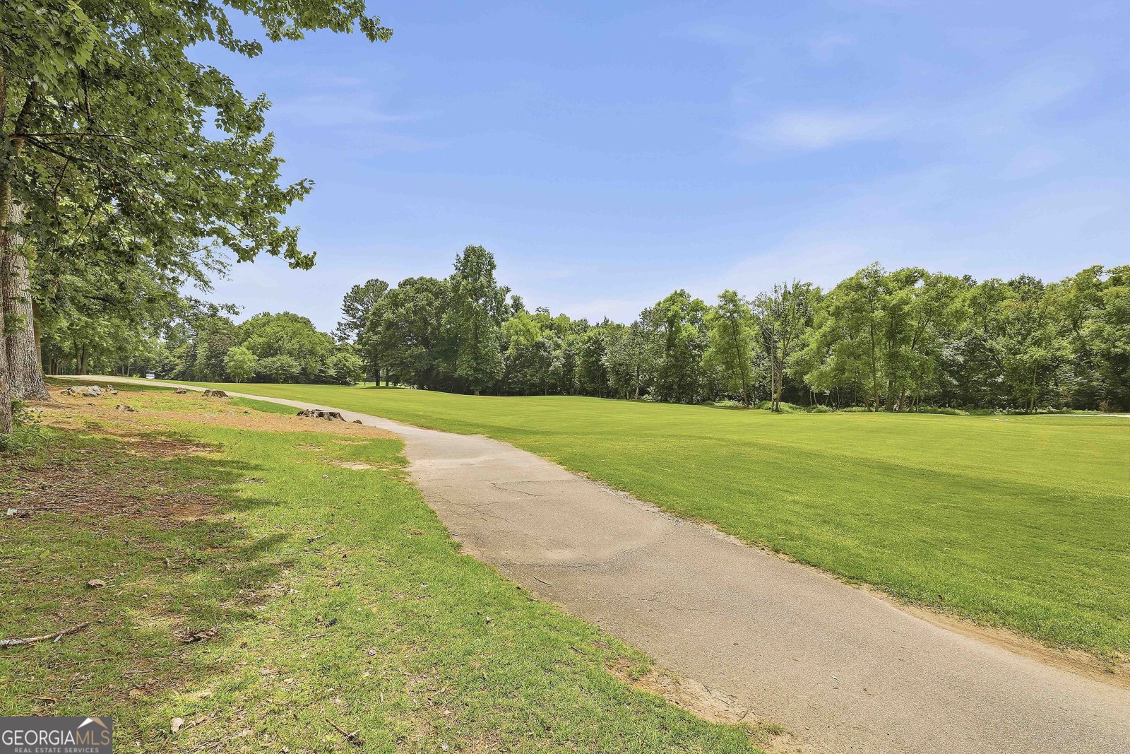 62 Greenview Drive Newnan - Photo 48