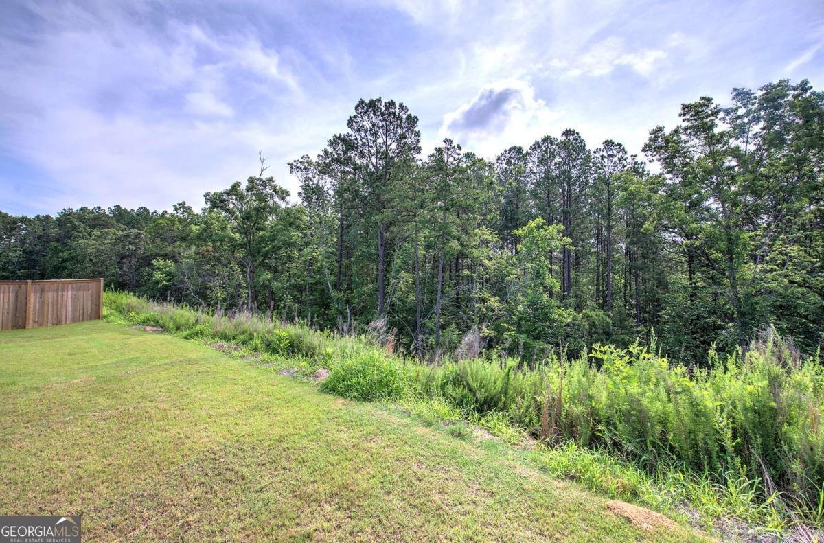 72 Grove Springs Court Cartersville - Photo 44
