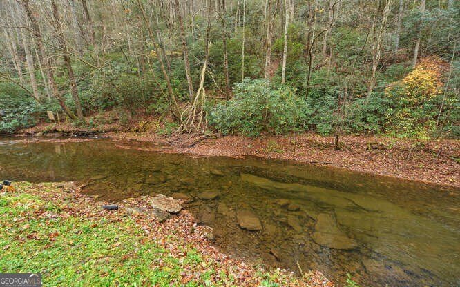 7670 Hiawassee Wilderness Trail Hiawassee - Photo 48