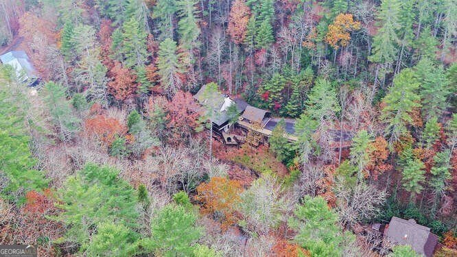 7670 Hiawassee Wilderness Trail Hiawassee - Photo 53