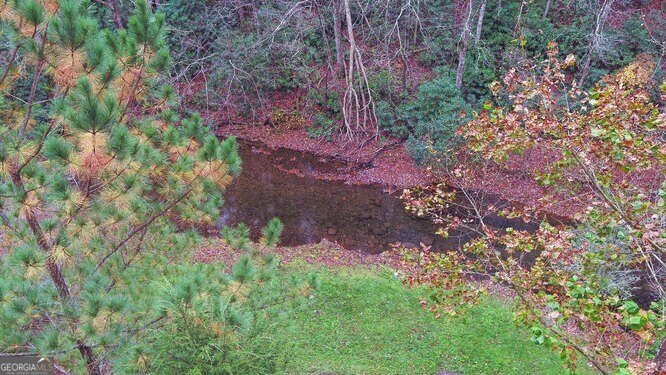 7670 Hiawassee Wilderness Trail Hiawassee - Photo 55