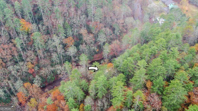 7670 Hiawassee Wilderness Trail Hiawassee - Photo 56