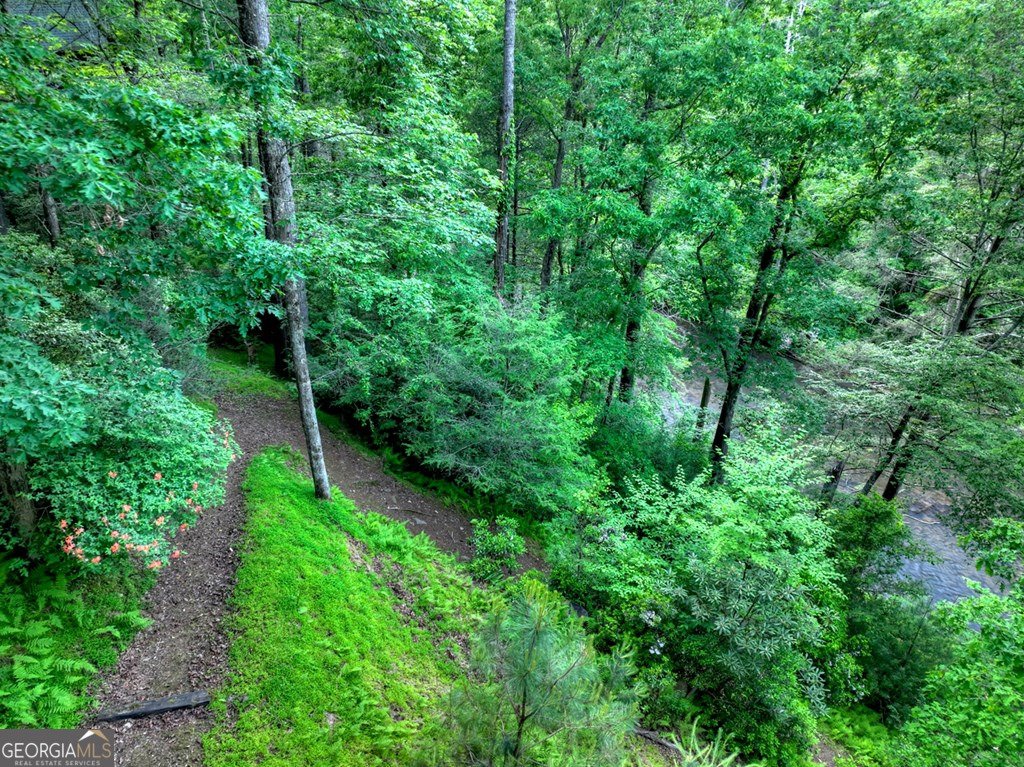550 Hillsdale Drive Ellijay - Photo 54