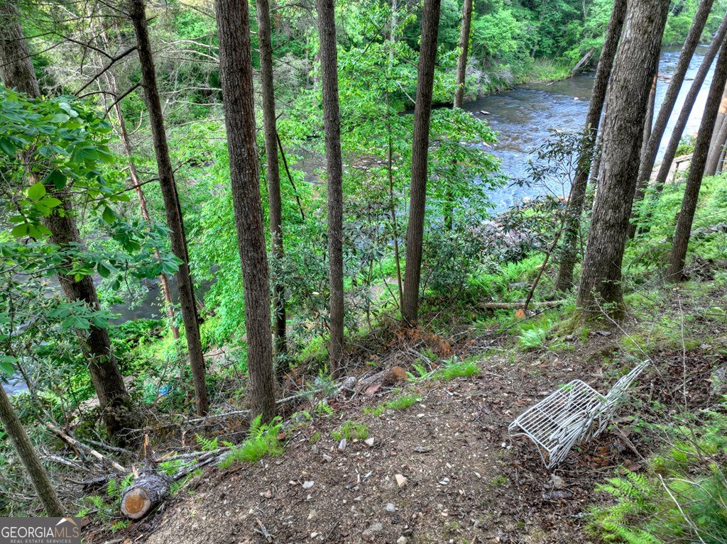 550 Hillsdale Drive Ellijay - Photo 63