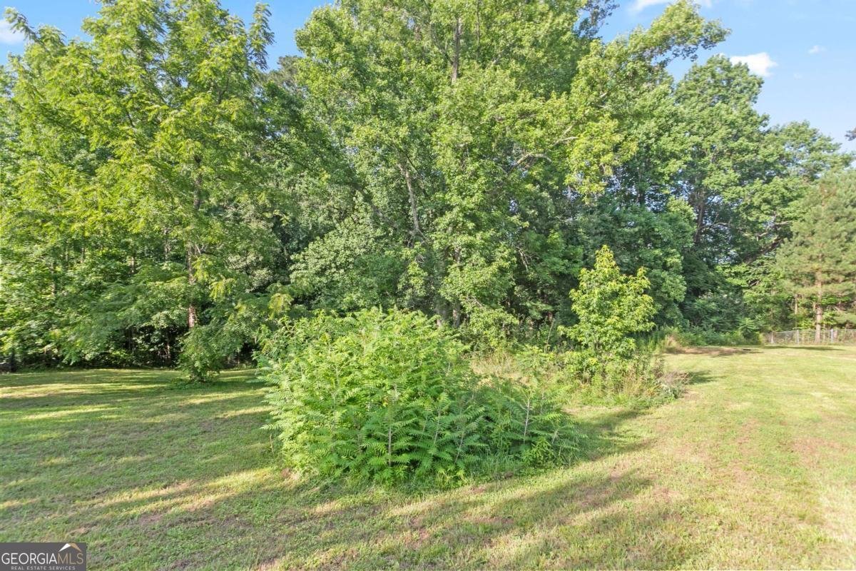 3985 S Highway 27 Carrollton - Photo 47