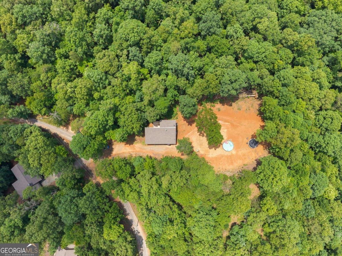 308 Fowler Creek Drive Cleveland - Photo 33