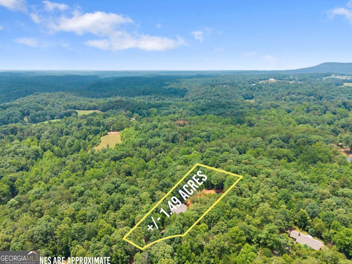308 Fowler Creek Drive Cleveland - Photo 36