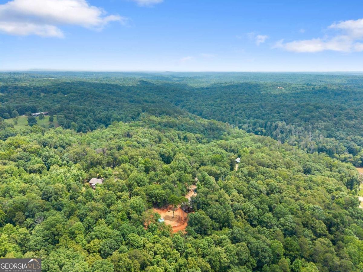 308 Fowler Creek Drive Cleveland - Photo 38