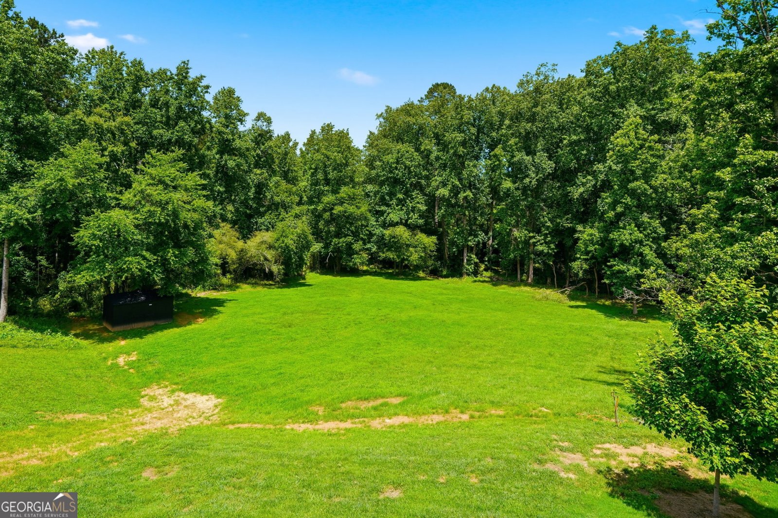 835 Breedlove Road Ball Ground - Photo 55
