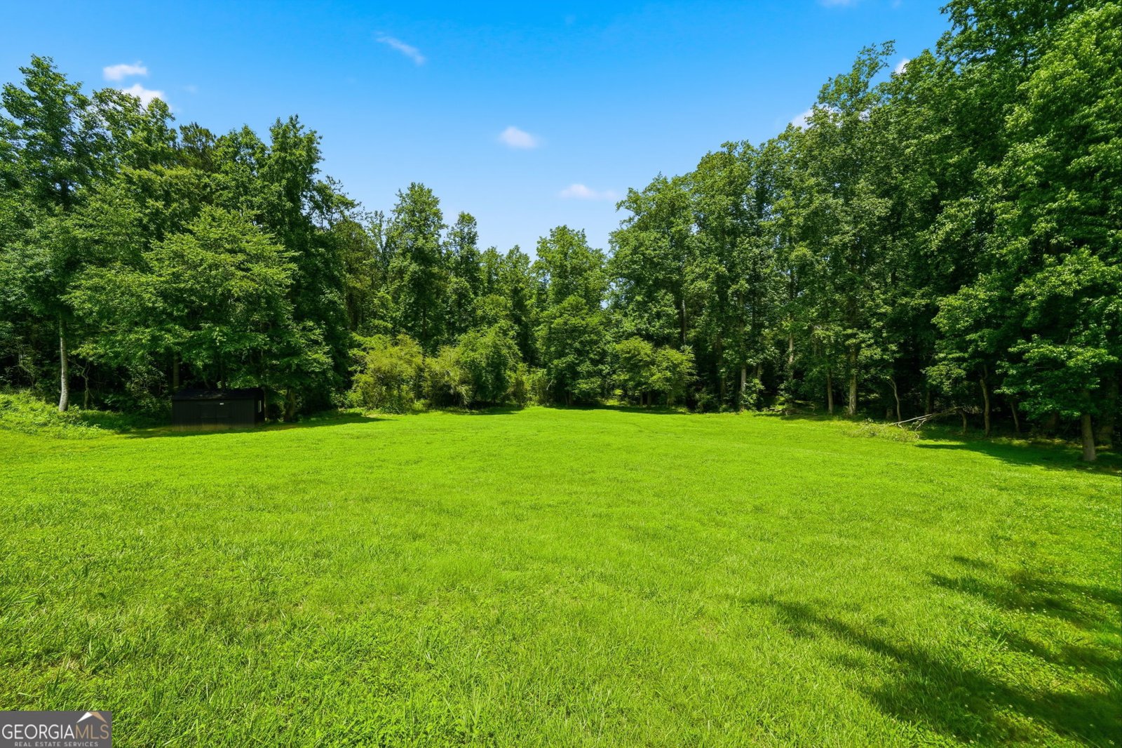 835 Breedlove Road Ball Ground - Photo 57