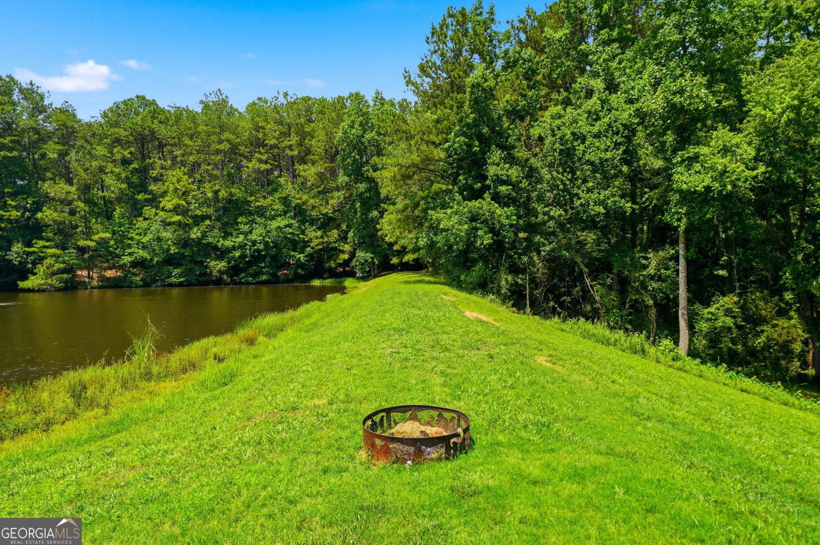 835 Breedlove Road Ball Ground - Photo 66