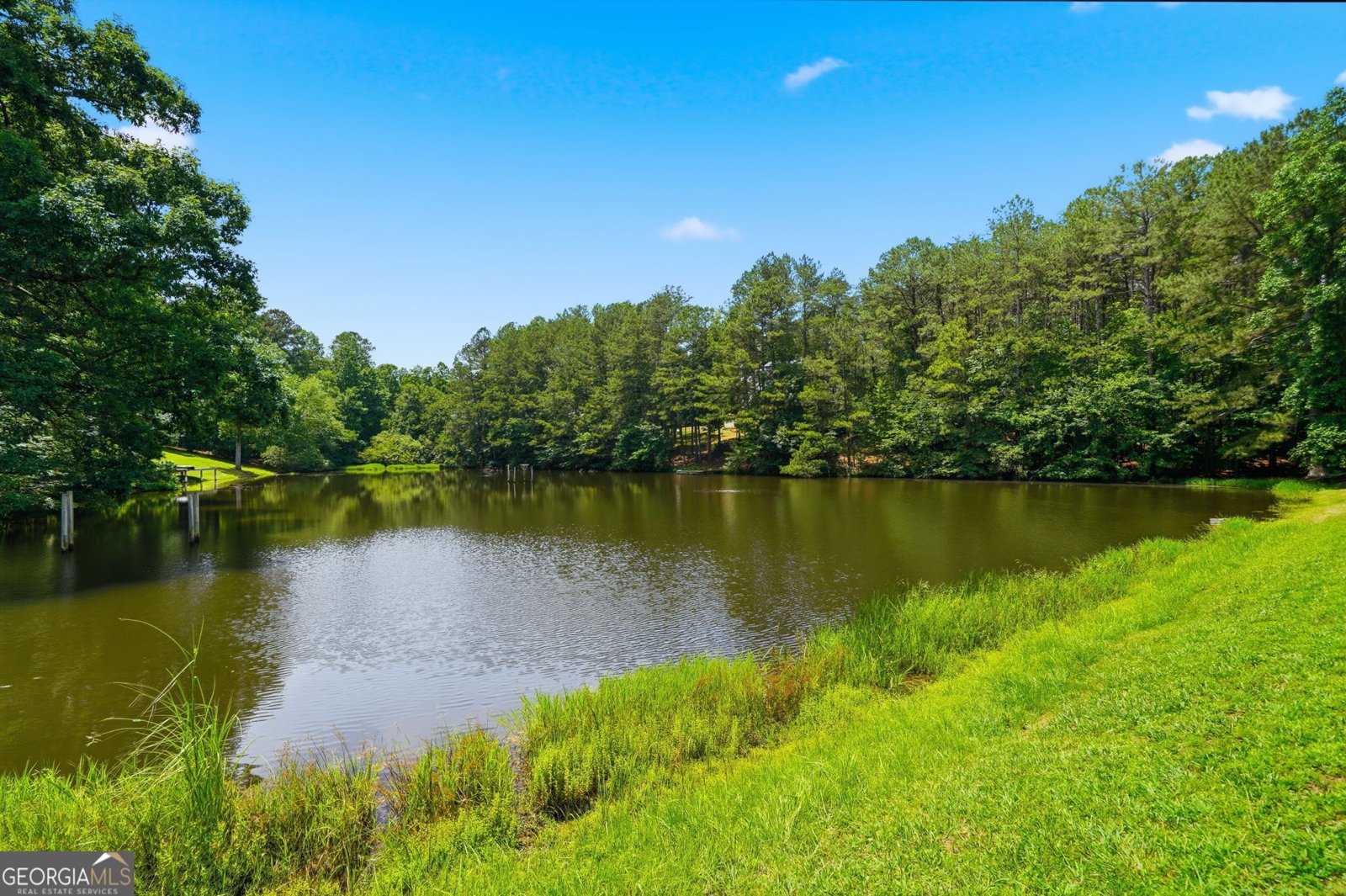 835 Breedlove Road Ball Ground - Photo 67