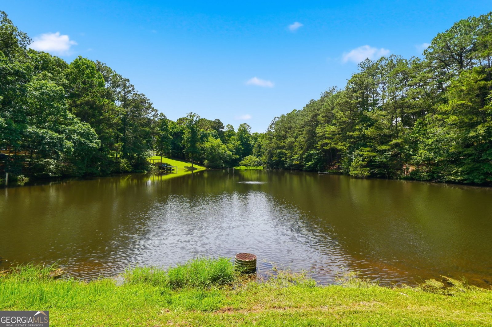 835 Breedlove Road Ball Ground - Photo 68