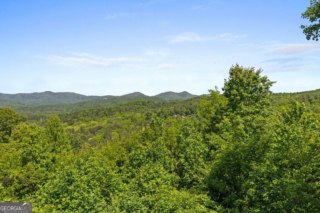 115 Mountain High Drive Mineral Bluff - Photo 30
