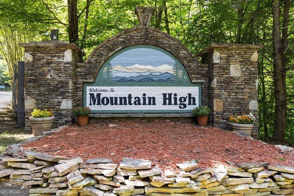 115 Mountain High Drive Mineral Bluff - Photo 58