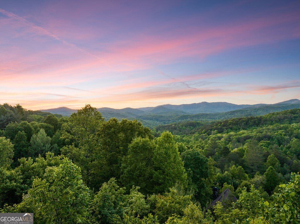 115 Mountain High Drive Mineral Bluff - Photo 59