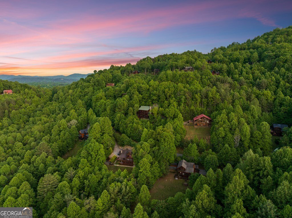 115 Mountain High Drive Mineral Bluff - Photo 63