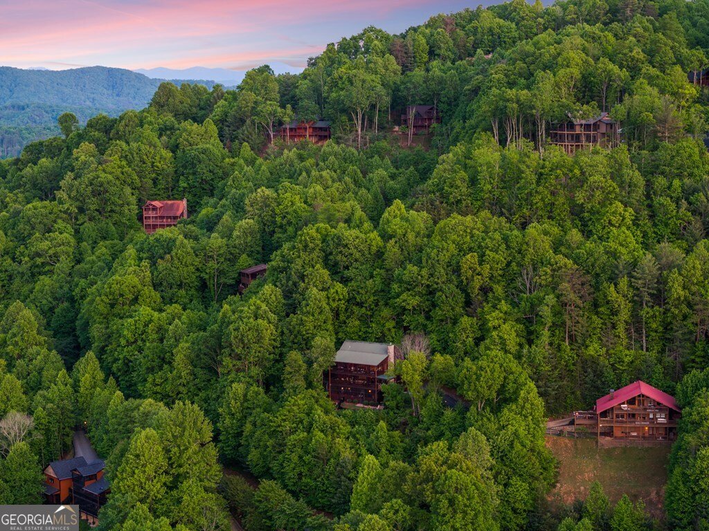 115 Mountain High Drive Mineral Bluff - Photo 64