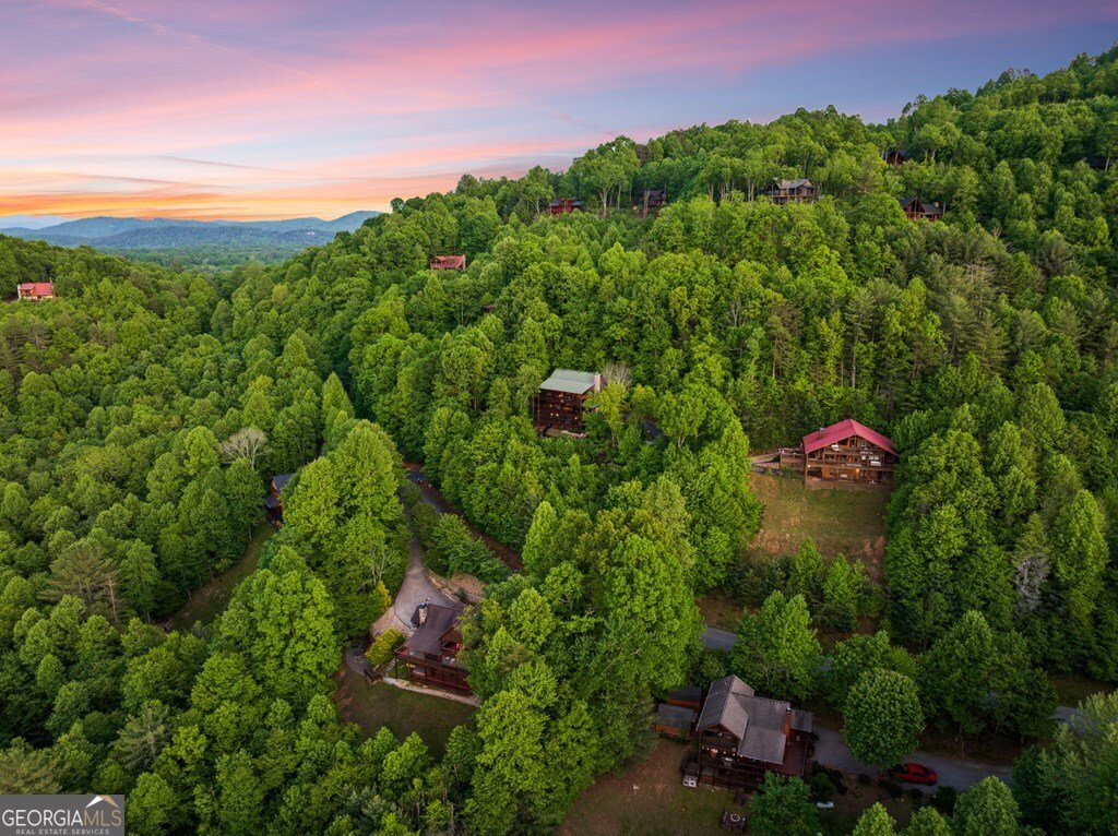 115 Mountain High Drive Mineral Bluff - Photo 68