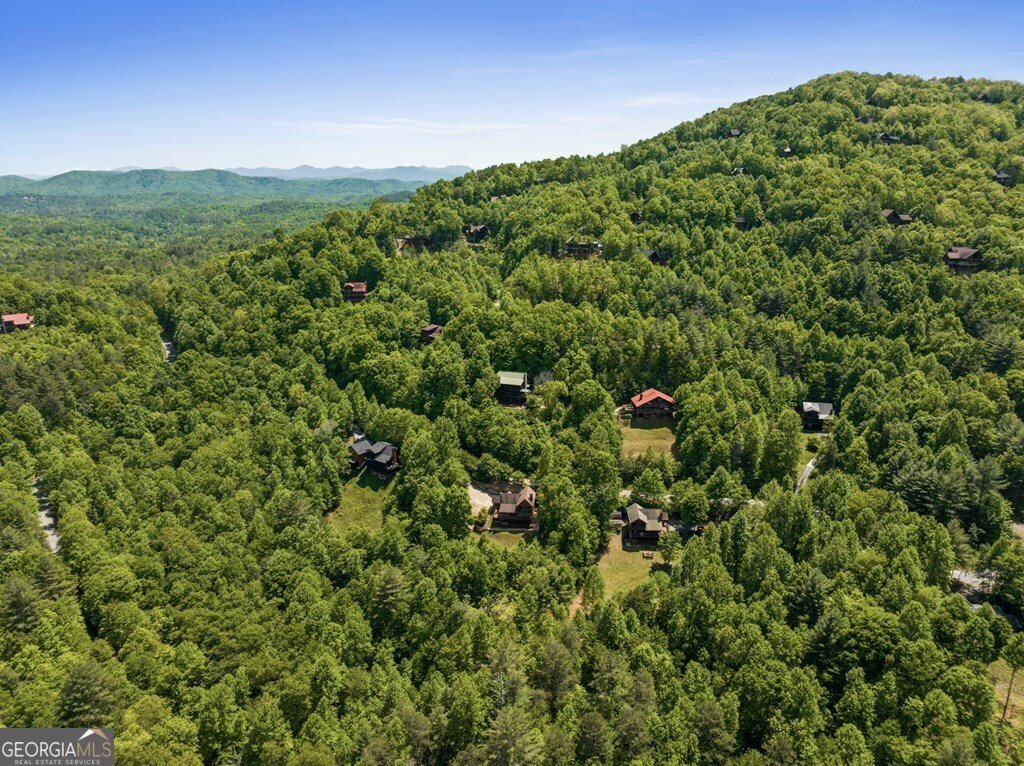115 Mountain High Drive Mineral Bluff - Photo 9