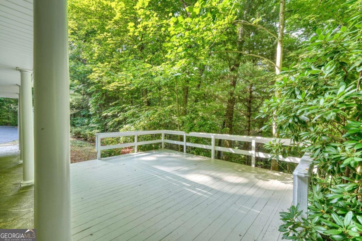 549 Cook Mountain Drive Blairsville - Photo 59