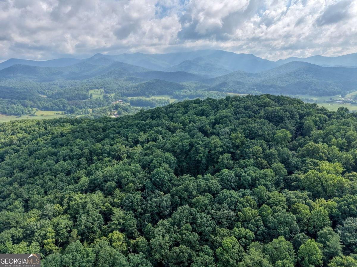 549 Cook Mountain Drive Blairsville - Photo 65