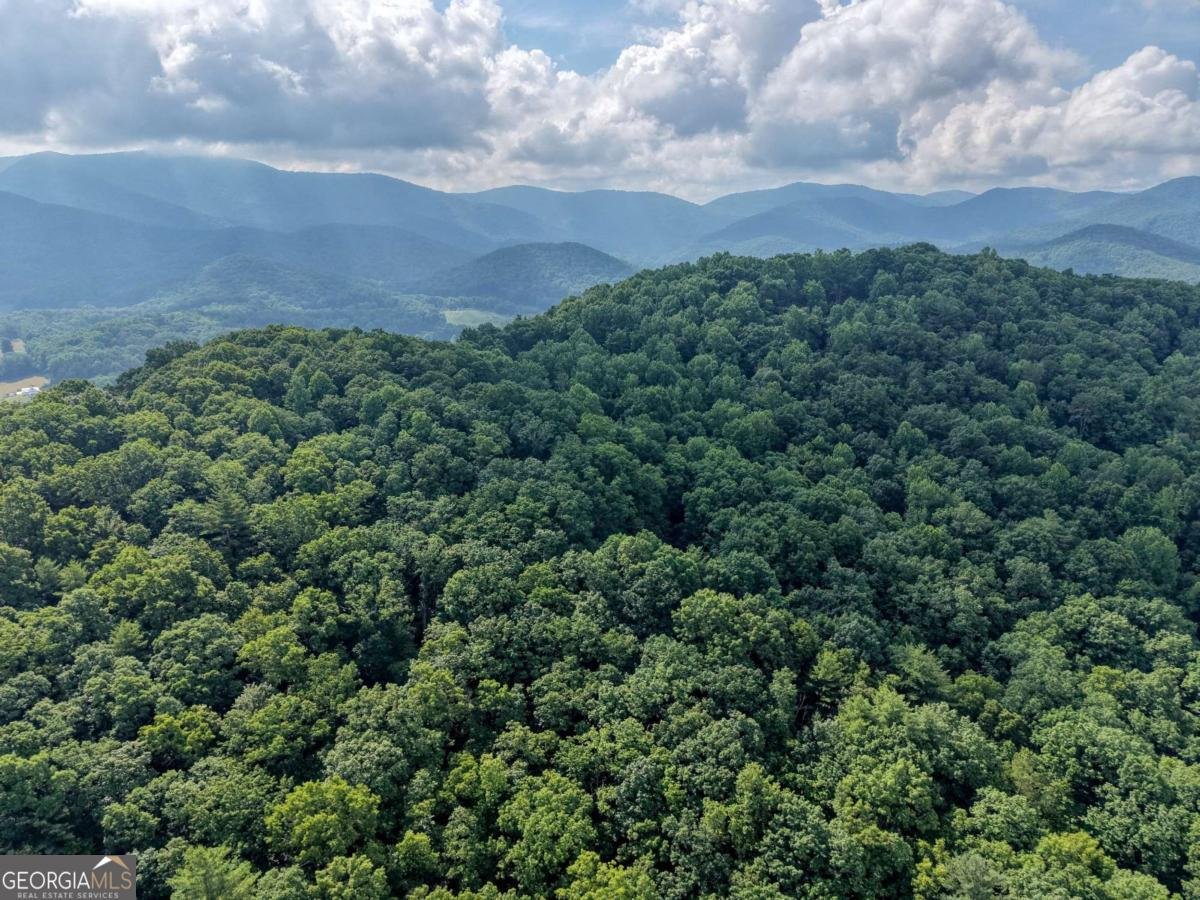 549 Cook Mountain Drive Blairsville - Photo 66