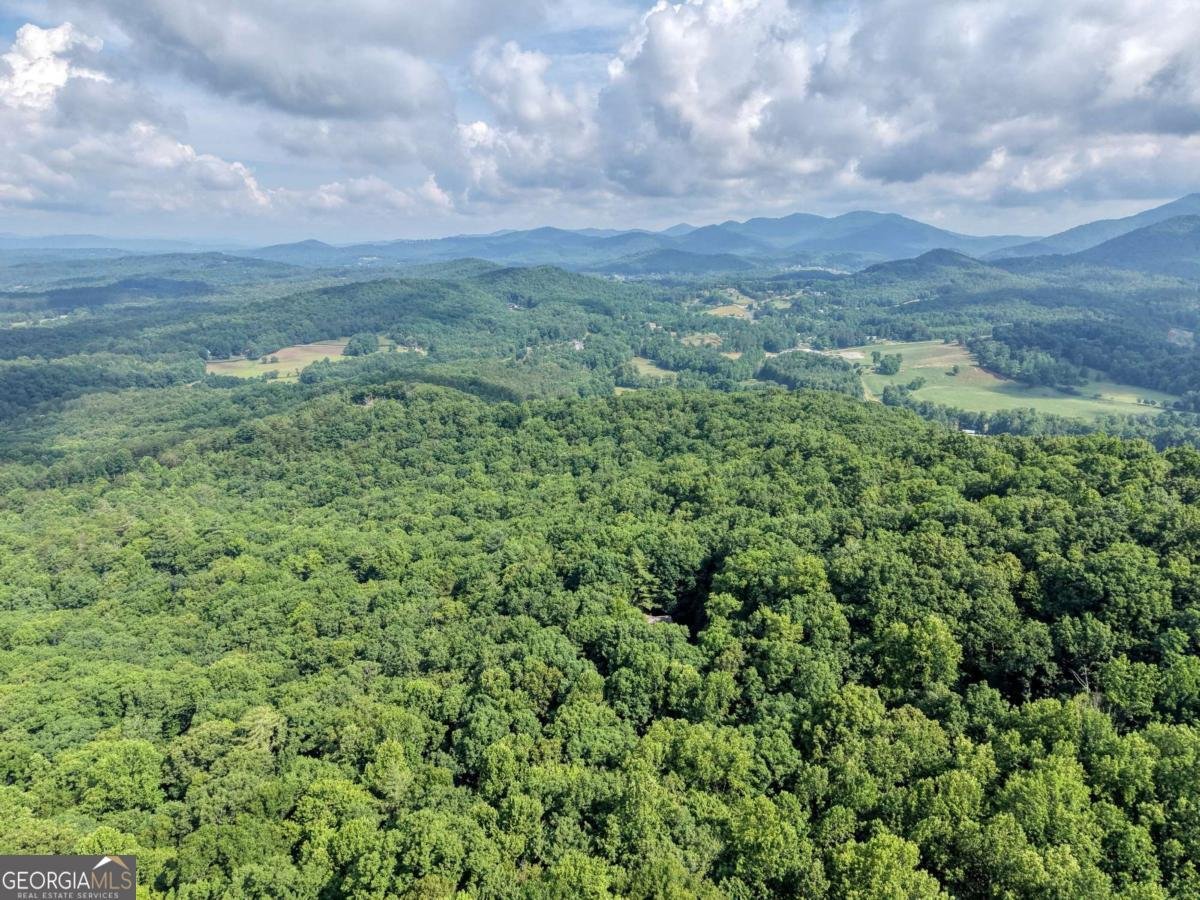 549 Cook Mountain Drive Blairsville - Photo 68
