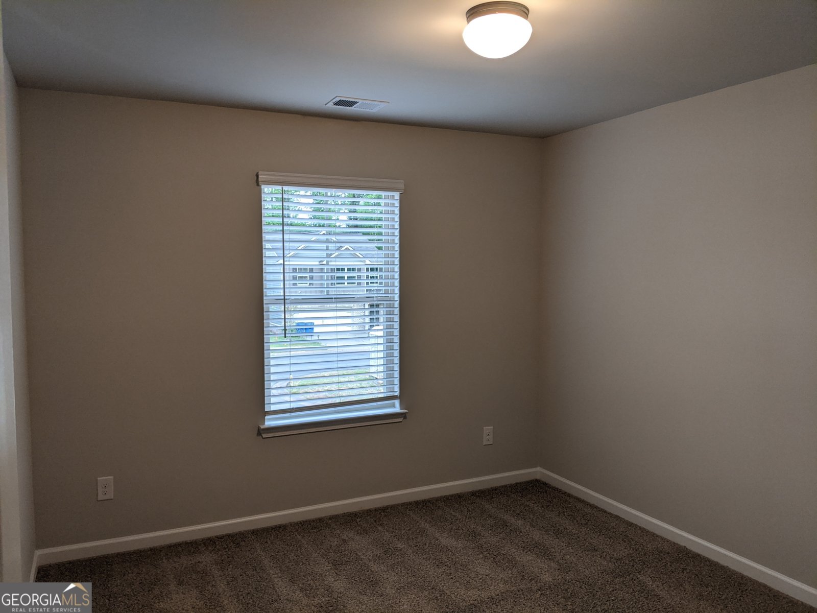 284 Magnaview Drive McDonough - Photo 10