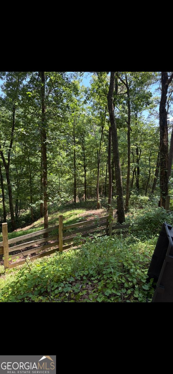 388 River Shoals Road Dawsonville - Photo 10