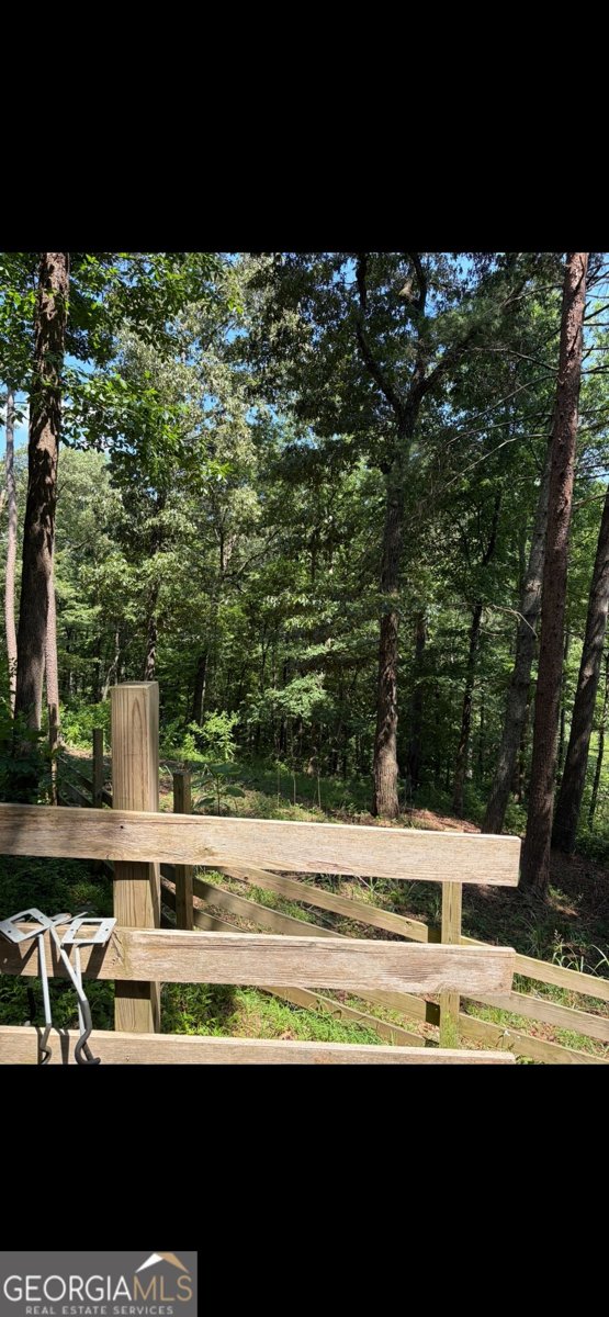388 River Shoals Road Dawsonville - Photo 12