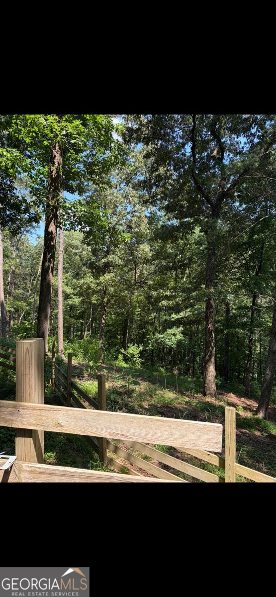 388 River Shoals Road Dawsonville - Photo 13