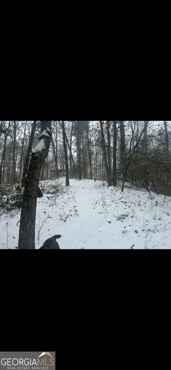 388 River Shoals Road Dawsonville - Photo 15