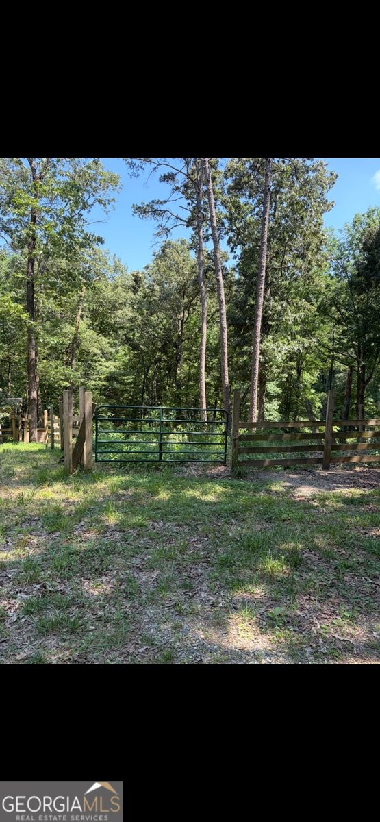388 River Shoals Road Dawsonville - Photo 8