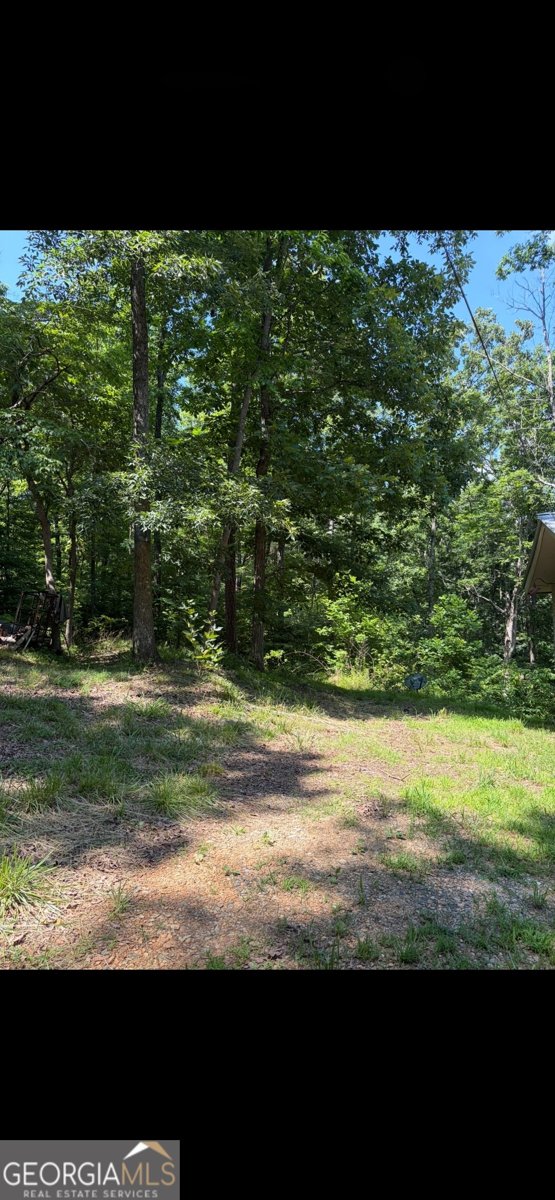 388 River Shoals Road Dawsonville - Photo 9