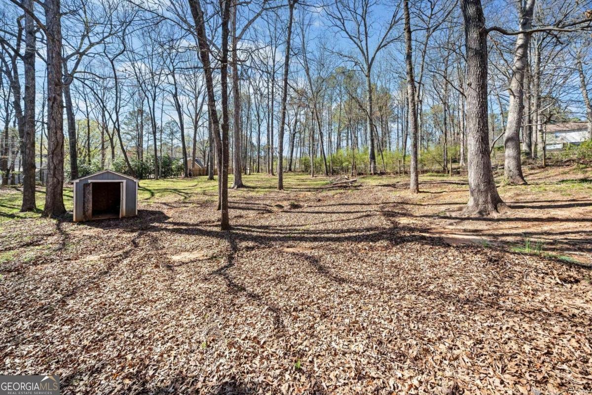 228 Hawkins Farm Circle Ball Ground - Photo 39