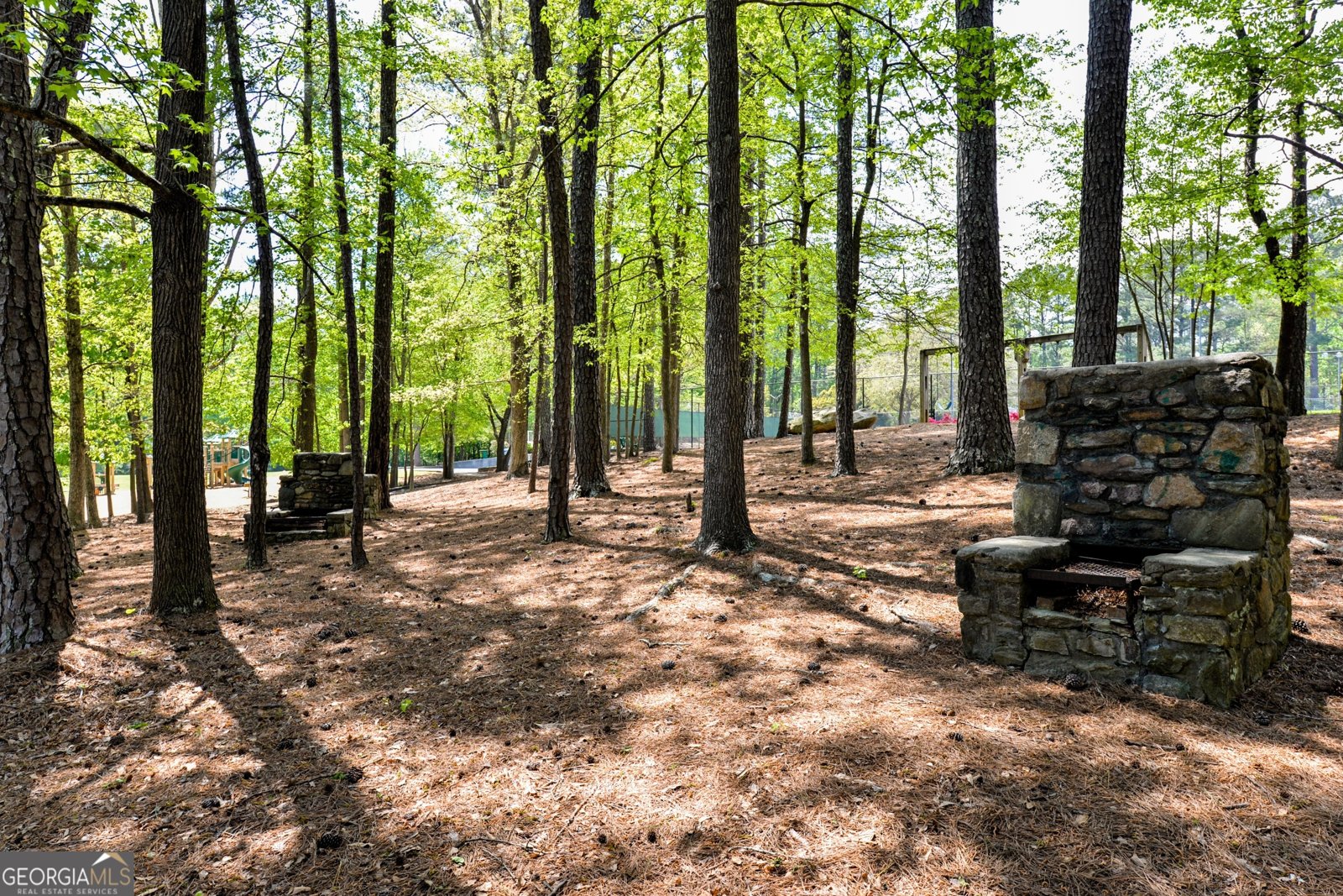 2719 Huckleberry Path Marietta - Photo 61