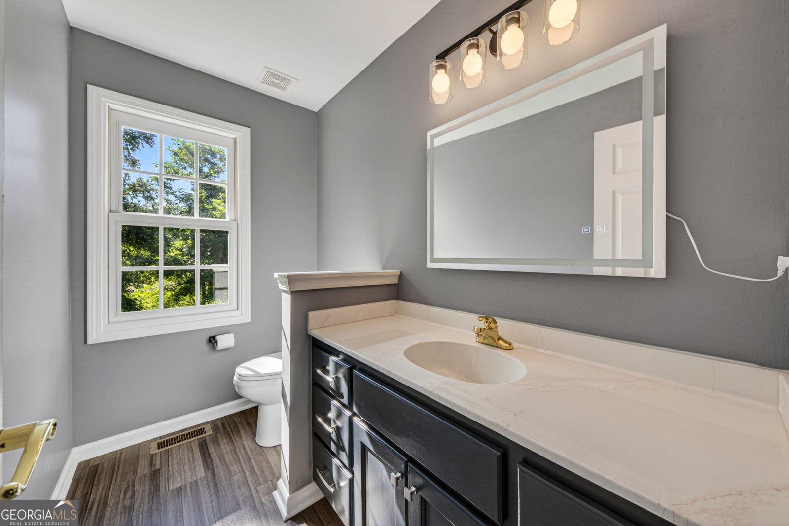 1070 Cannon Bridge Road Demorest - Photo 9