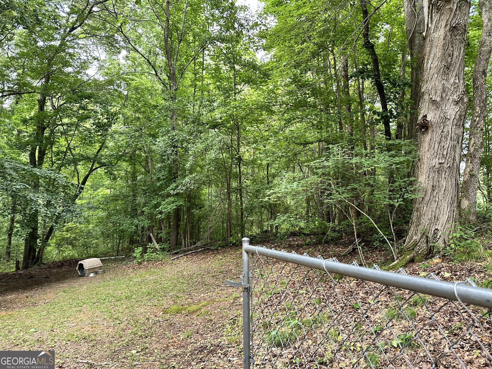 162 McIntosh Street Whitesburg - Photo 16