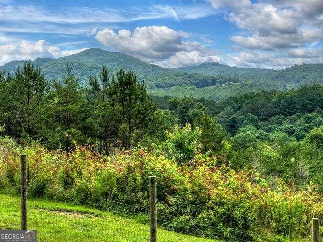 384 Dean Road Mineral Bluff - Photo 12