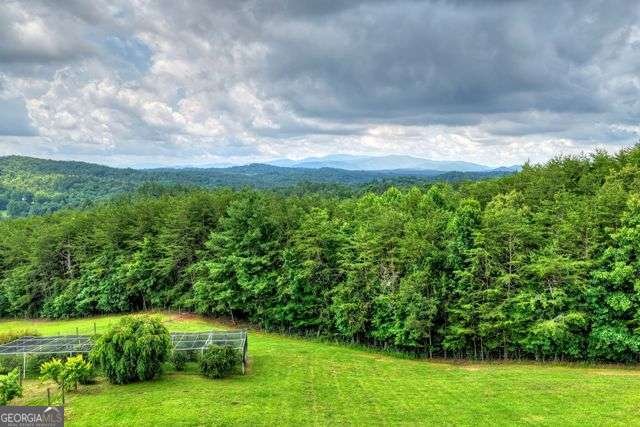 384 Dean Road Mineral Bluff - Photo 61