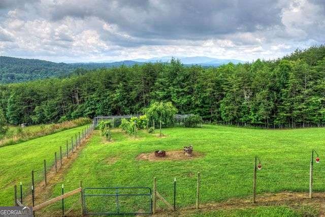 384 Dean Road Mineral Bluff - Photo 63