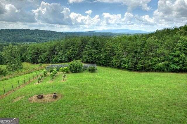 384 Dean Road Mineral Bluff - Photo 64