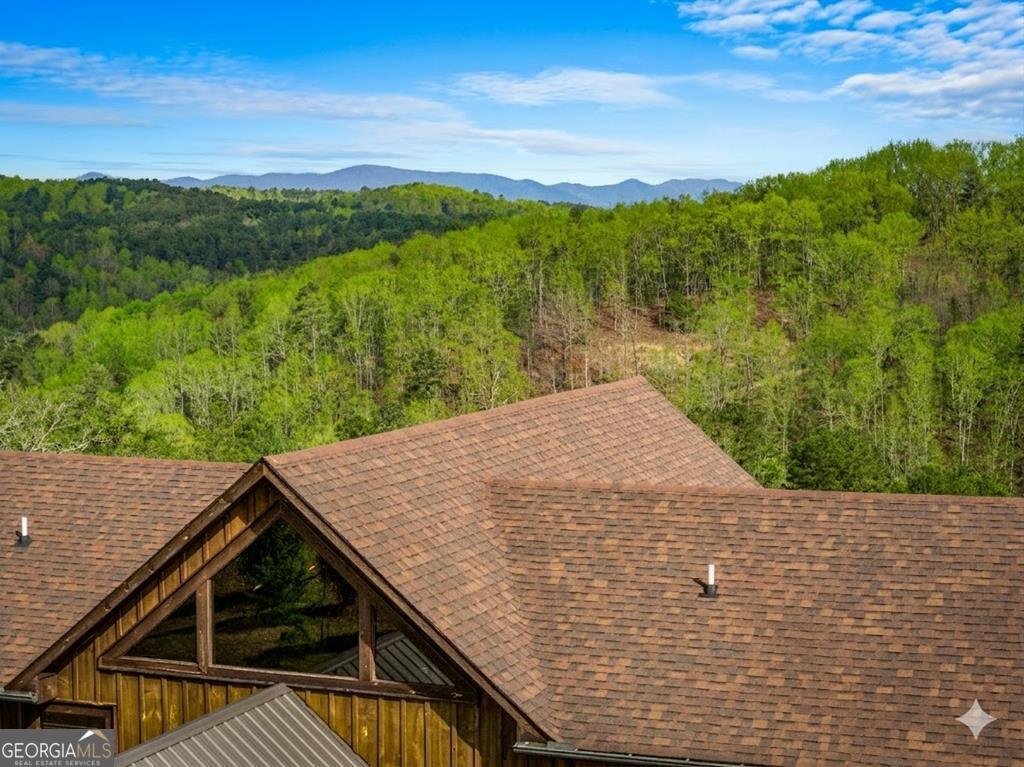 406 Hope Drive Blue Ridge - Photo 69