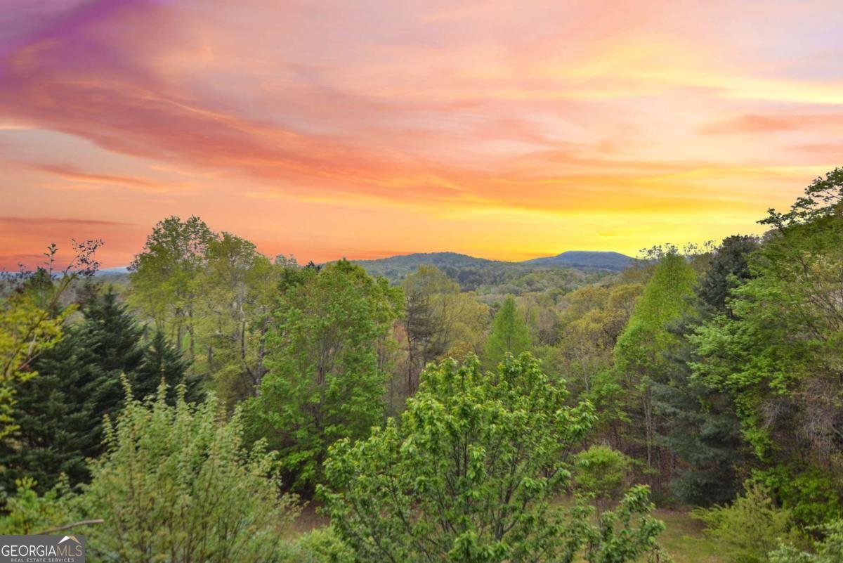 48 Lookout Drive Blue Ridge - Photo 9
