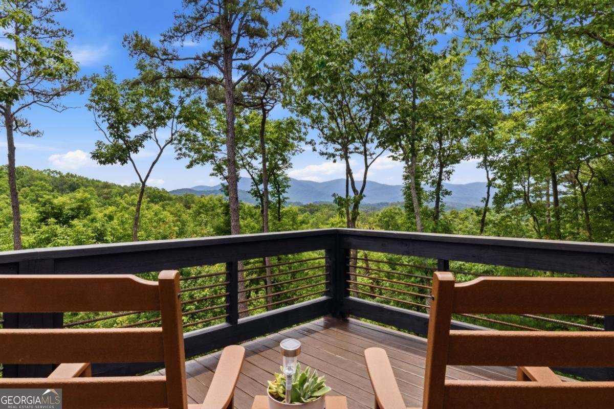 254 Leatherwood Mountain Road Ellijay - Photo 32