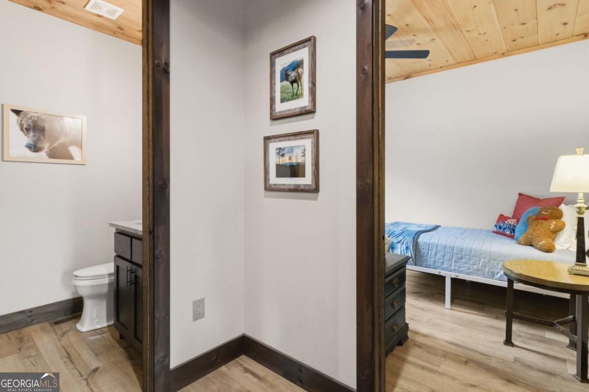 254 Leatherwood Mountain Road Ellijay - Photo 35