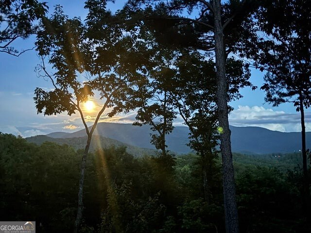 254 Leatherwood Mountain Road Ellijay - Photo 85